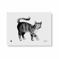 Teemu Järvi Poster - 40 x 30 cm - Katze