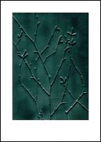 Pernille Folcarelli Bild 50x70 birch emerald